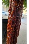 5 Kilos Marash Sausage Walnut Sausage Fresh Weekly Fresh Production from Grape Molasses - 4