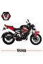 Bajaj Ns200 Fairing Sticker Katana Girl Motorcycle Fairing Model Ready Kit