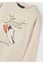 Boy's Sweatshirt |   Beige Color 100% Cotton, Street Written Shoes Printed |   4-10 Years Old - 4