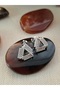 Premium Zircon Stone Steel Earrings - 2