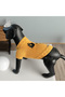 Yellow Halloween Sweater for Cat and Dog - 4