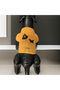 Yellow Halloween Sweater for Cat and Dog - 6