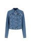 Stretch Denim Trucker Jacket - 7