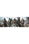 Assassin's Creed IV: Black Flag (PS4) - 6