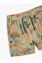 Baby Boy's Khaki Dinosaur Printed Shorts - 3