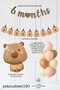Capybara Theme 6 Month Ornament Set 6 Months Banner and Balloon Set - 2