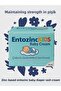 2 Pcs Baby Rash Prevention Cream 50 Gr Zinc-Containing Rash Cream - 4