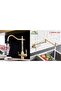 Kitchen Sink Faucet with Dual Flow Water Purification Outlet and Stove Top Pot Faucet Set Mat Gold Set