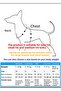 Dog Extension, Walking, Dispatch Strap, Dispatch Collar - 3