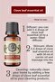 Clove Leaf Essential Oil (Clove Leaf Oil) 100% Natural 20 ml - 3
