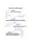 Powder Blue and Gold Balloon Arch Kit Birthday Balloon Kit - 3