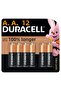 Type AA Alkaline Batteries, pack of 12