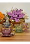 Basic Cup Set 12 Pieces 6 People 6 Colors Tea Set Coffee Set Gilded Gift Dowry Luxury