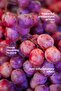 Care Oil Moisturizing Antioxidant 10 ml Grape Seed Oil Thermal Skin Care - 2