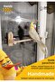 Glass Playpen with Suction Cups Paradise Forpus Budgie with 4 Suction Cups - 2
