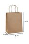Twist Handle Bag 25 Cm X 12 Cm X 31 Cm (25 Pieces) (Paper Bag)