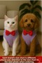 Cat Dog Bow Tie Undershirt