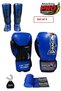 Dragon Attack Boxing Gloves Set of 4 Boxing Gloves 40716 Horse Protective Bandage Mouthguard Set