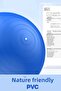 65 cm Pilates Ball and Pump Set |   Suitable for Height 155-170 cm Durable Anti-Slip Blue - 6