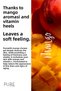 Vitamin C Topcuklu Mango Extract Lasting Fragrance & Moisturizing & Collagen Effect - 5