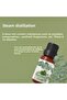 زيت المريمية العطري 10 مل - 3