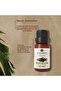 Clove Essential Oil 10ml - 3