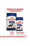 Maxi Adult Dog Pouch Canned 140Gr - 2