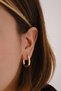 Steel Oval Convex Hoop Earrings Non-Tarnish Plated 2.5cm Suitable for Daily Wear - 4