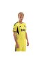 Kd7315-E Fenerbahçe 25-26 Away Men's Jersey Yellow - 2