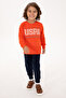 Boy's Pomegranate Flower Tracksuit Set 50318567-Vr039