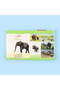 Montessori's First Book - Animals by Touch - 3