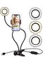 Webcam Light Stand with Selfie Ring Light and Webcam Mount