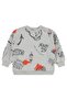 Urban Empirme 2-5 Years Old Sweatshirt - Gray