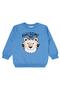 Safari Printed Set of 3 Sweatshirts for Ages 2-5 - Standard 2-3 Years - 6