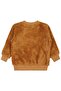 Bear Embroidered 2-5 Years Old Sweatshirt - Orange 5-6 Years Old - 2