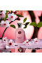 Delilah Pour Femme EDP - 2