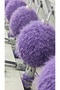 Gazzal Marilyn Merinos Long Wool Knitting Yarn 250g 5X50G 88m Soft 8266 - 3