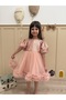 Powder Sequined Balloon Sleeve Textured Tulle Skirt Girls' Baby Evening Dress - Terra