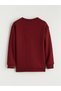 Lcw Kids Barcelona Printed Boys' Thick Sweatshirt - 3