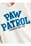 Lcw Kids Crew Neck Paw Patrol Printed Boys' Sweatshirt - 2