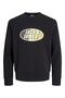 Jack Jones Coray Color Crew Neck Men's Sweatshirt 12267544 - 3