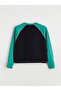 Esvab • Modern & Distinctive Color-Blocked Loose-Fit Women's Sweatshirt - 7