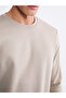 Crew Neck Men's Thick Sweatshirt - 3