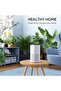 FULMINARE H13 True HEPA Air Purifier — Quiet Small Air Filter with Timer, Sleep Mode & Night Light - 3