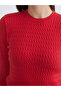Crew Neck Self Patterned Women's Knitwear Sweater - 5