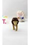 3D Lion Puzzle - Magnet Puzzle (Brown) - 3