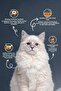 Multi Color Cat Food 2 kg - 2