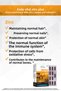 Zinc Blister 30 Capsules - 3