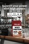 Whey Protein Powder | 24 g Protein 30 Servings | Chocolate Flavored (525 g) X 2 - 4