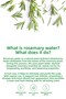 Rosemary Water Anti-Hair Loss Strengthening and Fast Hair Growth Effective Pure Hair Tonic 50 ml - 6